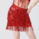 European and American sequin fringe dance dress dance performance dress fringe half skirt festival stage performance dress Latin dance dress