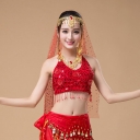 Belly dance clothing top new bra belly dance beaded embroidered bra practice clothing upper belt chest pad sequin lacing