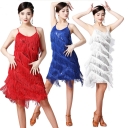 Suspender sequin fringed skirt V-neck dress Latin ball dance skirt dance performance dress stage show