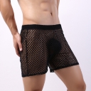 Big Net Eye Men's Middle Pants hollow sexy sports fishing net Penta -point transparent pajamas men