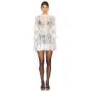 2025 Spring and Summer European and American Sexy Hot Girls Royal Sister Fully Transparent Lace Dress See-through Shirt Dress