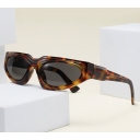 2026 New Cat-Eye Outdoor Cycling Sports Sunglasses, European and American Style, Trendy and Unique Sunshade Sunglasses