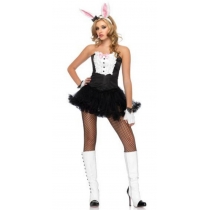 Hot sexy bunny costume.for ladies