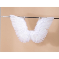 Angel wings 50CM*40CM