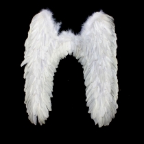 Feather wings, angel wings, children's wings, cospaly props can be bent at will (54CM*60CM)