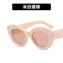 Super cool European and American cat's eye glasses box new anti -blue light can be equipped with close -up light mirror female fashion street shooting retro ​