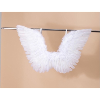 Angel wings 50CM*40CM