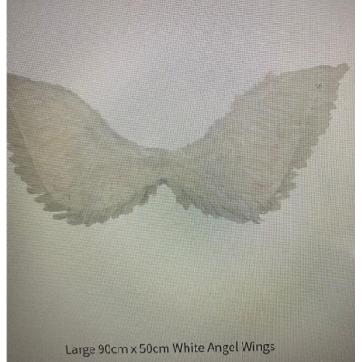 Angel wings 90CM*50CM