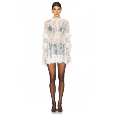 2025 Spring and Summer European and American Sexy Hot Girls Royal Sister Fully Transparent Lace Dress See-through Shirt Dress