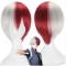 Anime wig My Hero Academia Todoroki Shoto red and white two-color short hair style cos wig red and white gradient