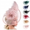 Hot sale mesh feather headdress bow versatile headband hair accessories pearl party performance head flower clip style