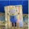 Halloween hot-selling props adult funny cos holiday costume party event overalls Minions inflatable sui