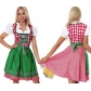 OktoberfestWench German Bavarian Heidi Fancy Dress Costume