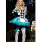 Alice in wonderland costume