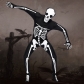 Skull skeleton ghost adult male models fitted leotard Halloween masquerade costume party