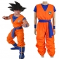 Halloween Anime Costume Dragon Ball Cosplay Goku Turtle Fairy Practice Clothes Performance Costumes Words