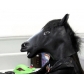 Halloween masquerade cosplay horse head mask Jiangnan style animal headgear horse mask dog Ma Jun