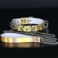 Alternative adult toy sexy D-shaped bondage laser leather collar dog slave female slave training traction rope neckband collar