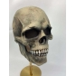 New Halloween mouth movable latex horror mask skull head cover full skull mask props