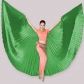 Adult 360 -degree belly dance gold -winged and silver -winged belly dance wings Indian dance wings performance dance wings