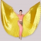 Adult 360 -degree belly dance gold -winged and silver -winged belly dance wings Indian dance wings performance dance wings