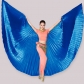 Adult 360 -degree belly dance gold -winged and silver -winged belly dance wings Indian dance wings performance dance wings