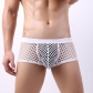 Fishnet Men's Panties Japanese large mesh sexy U convex clear hollowed out shorts Boxer pants boys