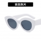 Super cool European and American cat's eye glasses box new anti -blue light can be equipped with close -up light mirror female fashion street shooting retro ​