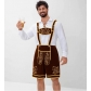 New Oktoberfest costume, Bavarian traditional beer maid dress