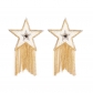 Five-pointed star chest stickers tassel bio-latex stickers rhinestones anti-exposure stickers