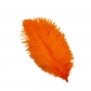 25-30cm ostrich feather wedding feather table lamp home decoration wedding road guide feather