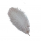 25-30cm ostrich feather wedding feather table lamp home decoration wedding road guide feather