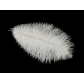 25-30cm ostrich feather wedding feather table lamp home decoration wedding road guide feather