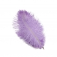 25-30cm ostrich feather wedding feather table lamp home decoration wedding road guide feather