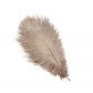 25-30cm ostrich feather wedding feather table lamp home decoration wedding road guide feather