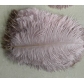 25-30cm ostrich feather wedding feather table lamp home decoration wedding road guide feather