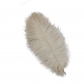25-30cm ostrich feather wedding feather table lamp home decoration wedding road guide feather