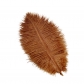 25-30cm ostrich feather wedding feather table lamp home decoration wedding road guide feather