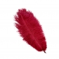 25-30cm ostrich feather wedding feather table lamp home decoration wedding road guide feather