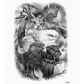 Flower arm tattoo stickers Waterproof half arm tattoo