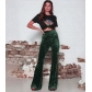 Spring and autumn women's pants, European and American women's new flared pants, high waist gold velvet casual wide leg pants