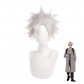 Demon Slayer series cosplay wig